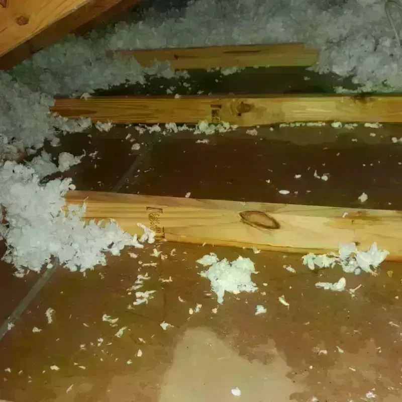 Attic Water Damage in North Conway, NH